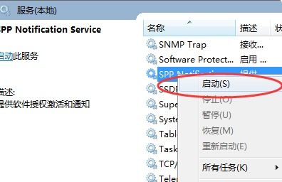 Windows 軟件保護服務詳解及其與網頁、網站設計的潛在關聯